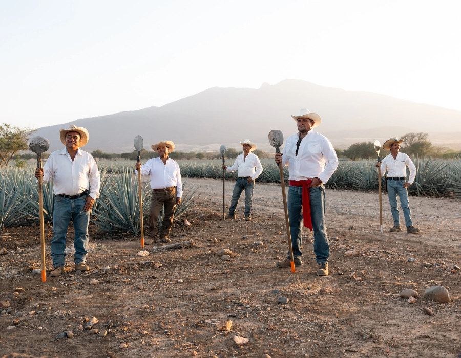 Experiencia Jose Cuervo y Campos