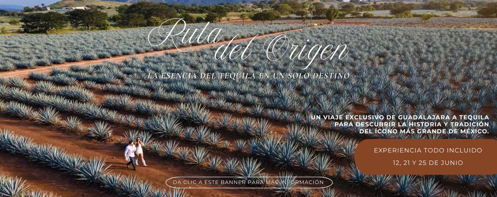 Ruta del origen