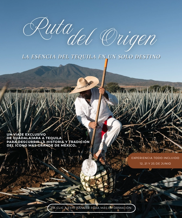 Ruta del origen movil copy